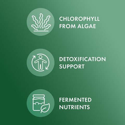 Fermented Chlorella - 450 kapsler - 30 dager
