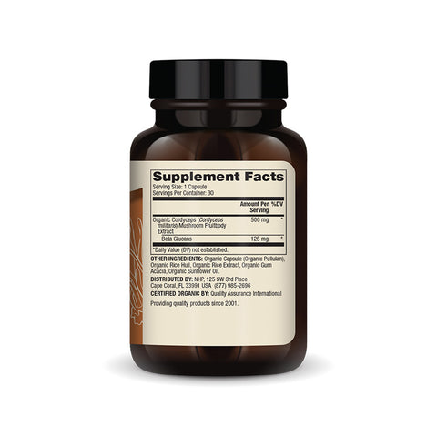 Organic Cordyceps Mushroom Extract - 30 kapsler
