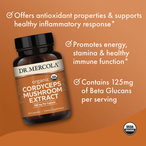 Organic Cordyceps Mushroom Extract - 30 kapsler