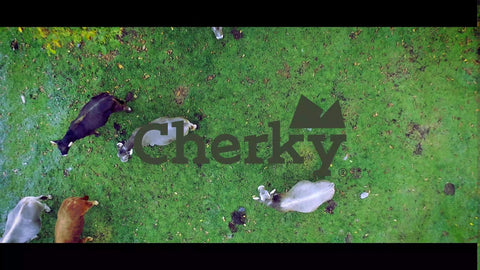 Cherky