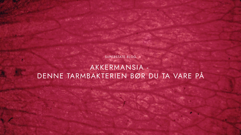 Akkermansia - Denne tarmbakterien bør du ta vare på
