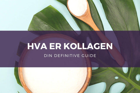 Den definitive kollagen guiden