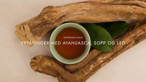Erfaringer med ayahuasca, sopp og LSD