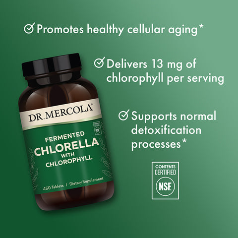 Fermented Chlorella - 450 kapsler - 30 dager