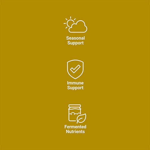 Fermented Beta Glucans – 60 kapsler