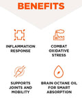 Bulletproof Curcumin Max (60 kapsler) – fordeler